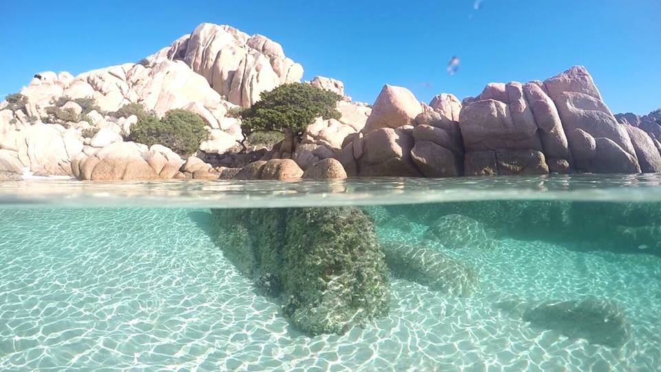 Sardinia