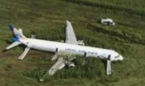 Airbus A321 crashed because of bird strike in August 2019