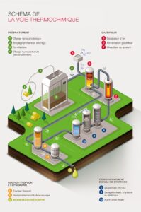 Projet biofuel Total, à prtir de la cellulose - image Total